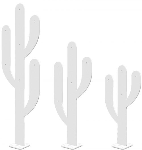 kaktus_blanc